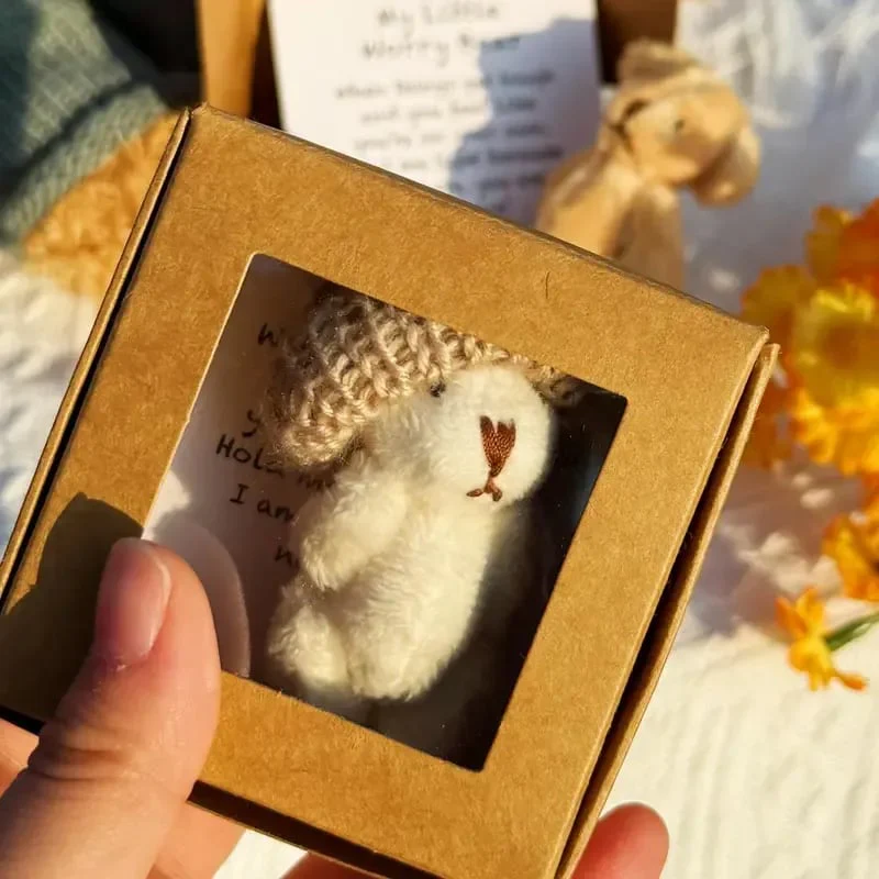 🎁BUY 1 GET 1 FREE!!✨Handmade Mini Plush Teddy Bear in Box - Image 5