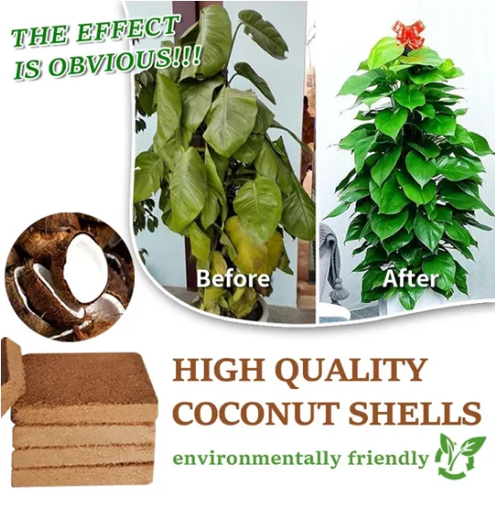 🎁Hot Sale 🌱Organic Coconut Coir for Plants - Image 2