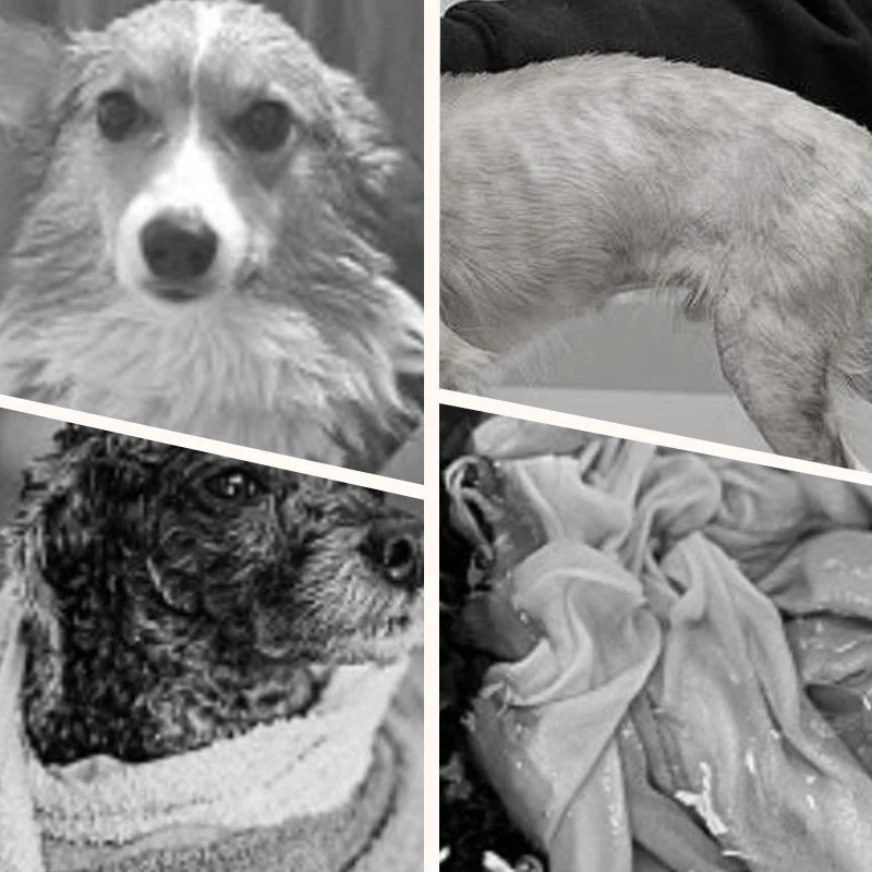 🔥Last Day 49% Off🔥Soft Absorbent and Quick-Drying Dog Bathrobe🚿🧼🐾 - Image 2